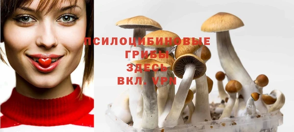 спайс Абаза