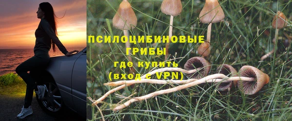 меф Алзамай