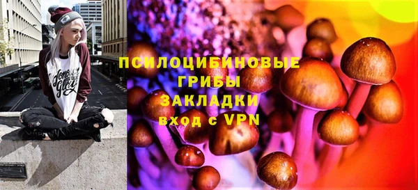 амф Абинск